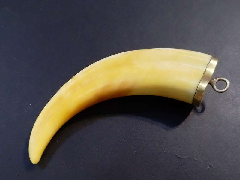 `GAME COLLECTORS` 9CT Yellow Gold `WARTHOG TUSK` Key Holder