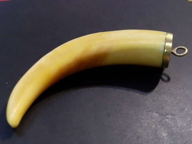 `GAME COLLECTORS` 9CT Yellow Gold `WARTHOG TUSK` Key Holder