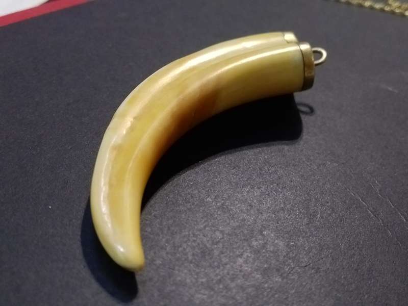 `GAME COLLECTORS` 9CT Yellow Gold `WARTHOG TUSK` Key Holder
