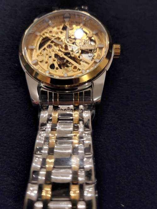 Tevise skeleton automatic