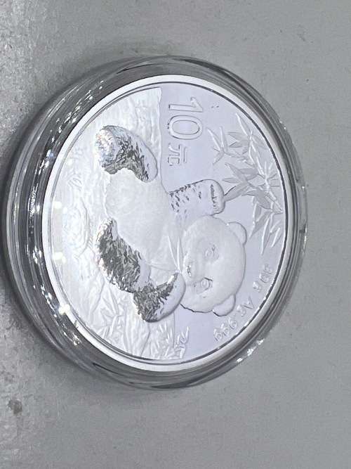 2020 China Panda Silver Coin