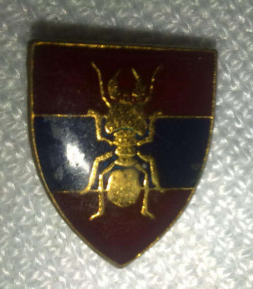 SADF insignia miniature