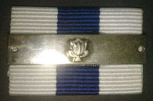 Navy Cross ribbon with 2nd award bar