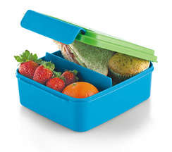 TUPPERWARE DIVIDED LUNCHER + FREE GIFT!!!