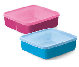 TUPPERWARE LARGE SQUARE AWAYS (BID FOR 1 ONLY)