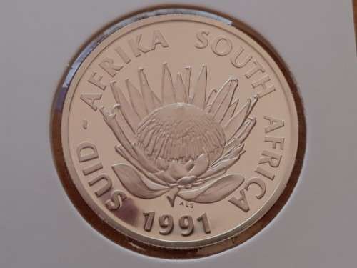 1991 Nursing Silver Proof R1 and at R1 Start!