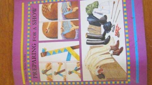 3 x Horse books