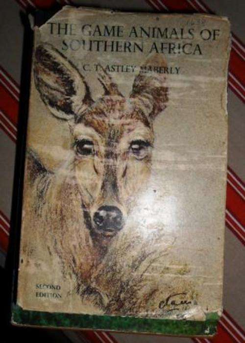 The Game Animals Of Southern Africa