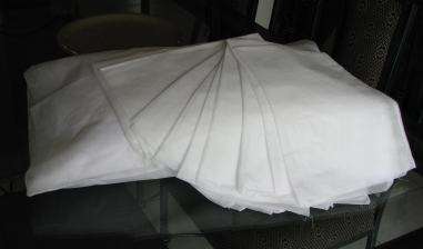 DISPOSABLE Pillow Protectors - PLEASE TAKE A LOOK...