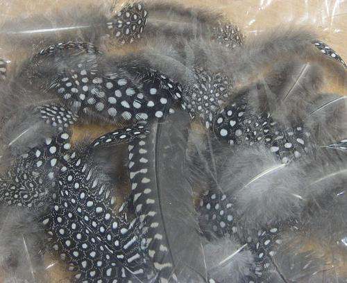 GUINEA FOWL FEATHERS (NATURAL) - 4g Assorted Sizes