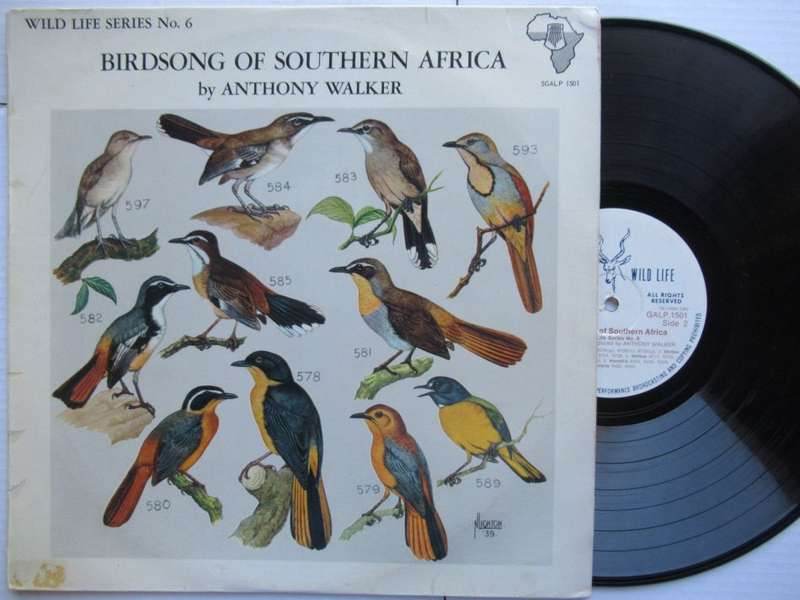ANTHONY WALKER - BIRDSONG OF SOUTHERN AFRICA - RSA - VG / VG+