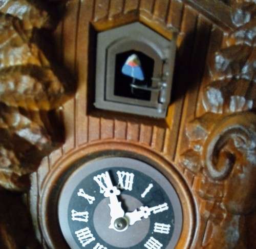 Unusual cuckoo clock, keeps time and cuckoo has pleasant dulcet tone