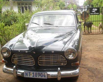 Vintage Volvo 1968 'Amazon'. Good runner and licensed