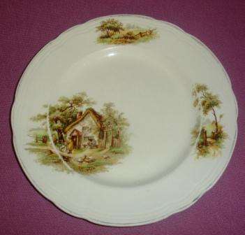 Alfred Meakin plate 22cm diameter