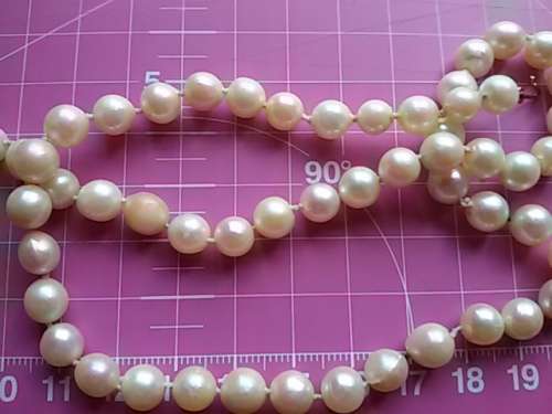 PEARL NECKLACE WITH 9CT GOLD CLASP