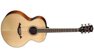 Cort NTL 20 Jumbo Steel String with classic 4 Pickup