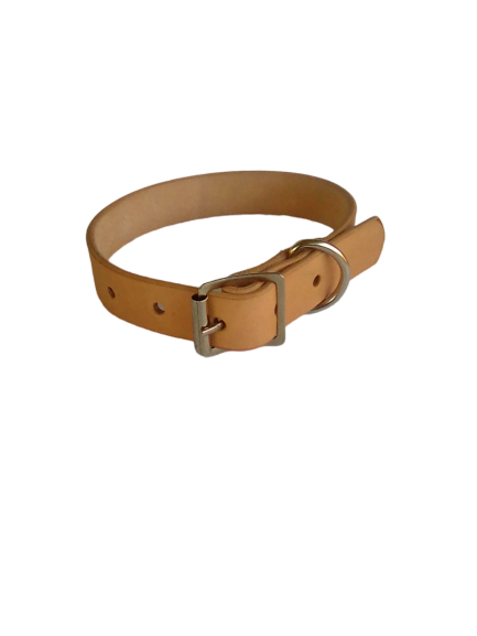 High Quality Leather Dog Collar (small)