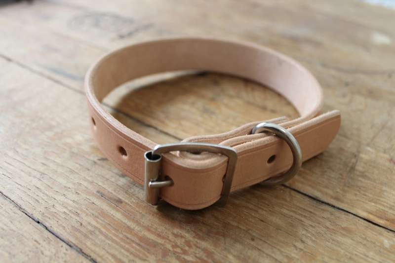 High Quality Leather Dog Collar (medium)