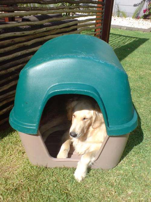 Extra Large Addis Dog Kennel