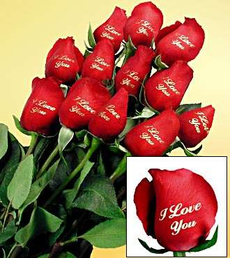 Valentine's day rose with a message on. Something really unique!