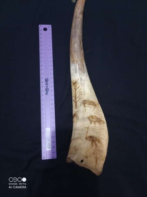 Cattle Horn with African Art