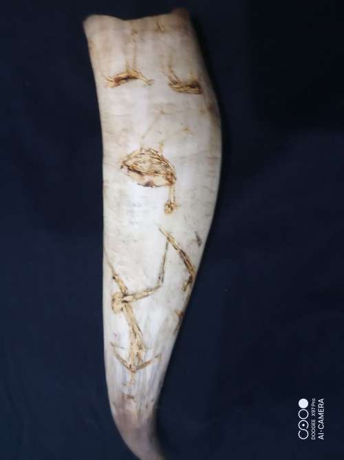 Cattle Horn with African Art