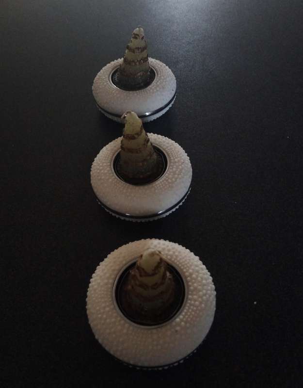 Beautiful 3 Pce Centre Piece Wheel Shaped Candle Holders with Candle