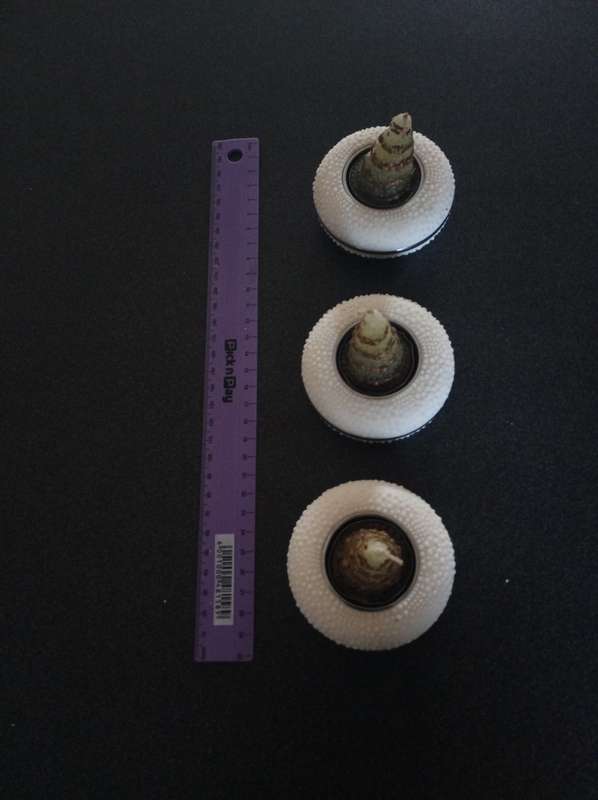 Beautiful 3 Pce Centre Piece Wheel Shaped Candle Holders with Candle