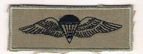 SANDF PARA WINGS QUALIFICATION 9 JUMPS CLOTH BADGE