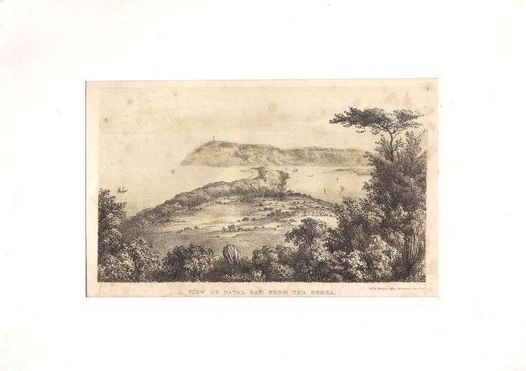1855 ILLUSTRATION ON WOOD & STONE OF THE VIEW OF NATAL BAY FROM BEREA