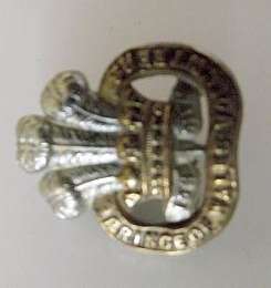 PRINCE OF WALES VOLUNTEERS BI- METAL COLLAR