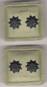 SANDF LIEUTENANT RANK INSIGNIA PAIR