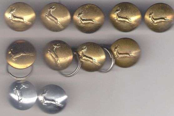 SOUTH AFRICAN ARMY SPRINGBOK BUTTONS LOT