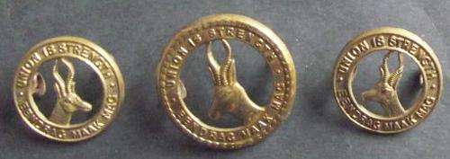 WORLD WAR II UNION SOUTH AFRICA GENERAL SERVICE CAP BADGE & COLLARS