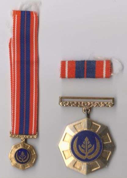 SADF PRO PATRIA TYPE 2 FULL SIZE MEDAL, MINIATURE MEDAL & RIBBON BAR