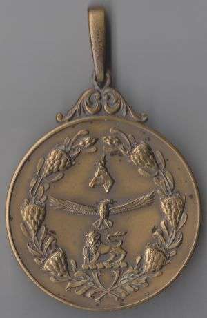 1978 SADF SAW KAMPIOEN BRONZE SPORTS MEDAL FOR SHOOTING