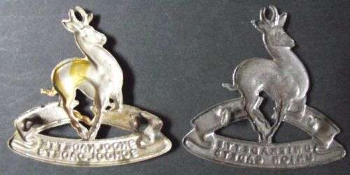 SOUTH AFRICA CADETS x 2 DIFFERENT CAP BADGES