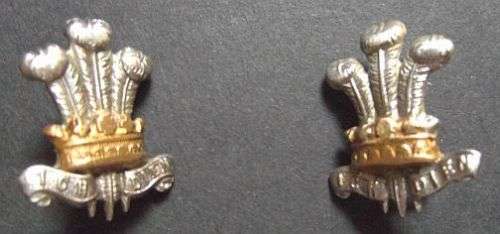 THE WELSH REGIMENT PAIR OF SMALL COLLARS