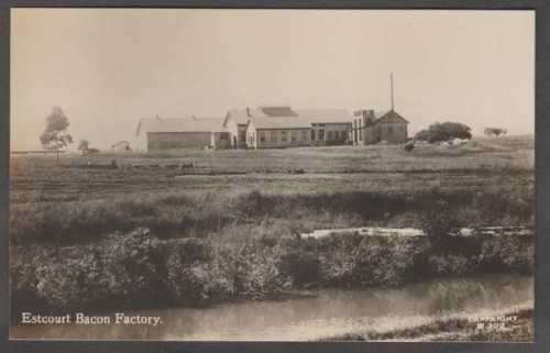 VINTAGE NATAL ESTCOURT BACON FACTORY REAL PHOTOGRAPH POSTCARD - UNUSED