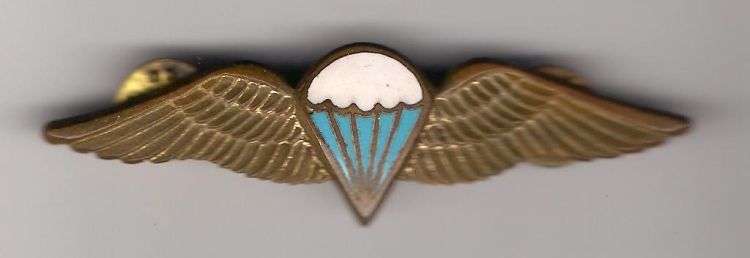 SADF BASIC PARATOOPER WINGS JUMP METAL BADGE