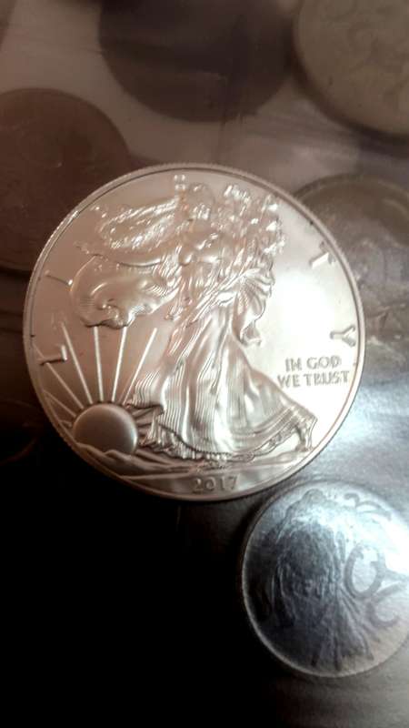 2017 Pure SILVER AMERICAN  DOLLARS. 1 Ounce of pure silver each