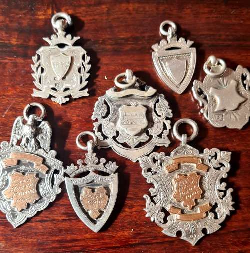 Zar gold and sterling silver medals. Weight 108.13 sterling with solid 9ct gold inlays
