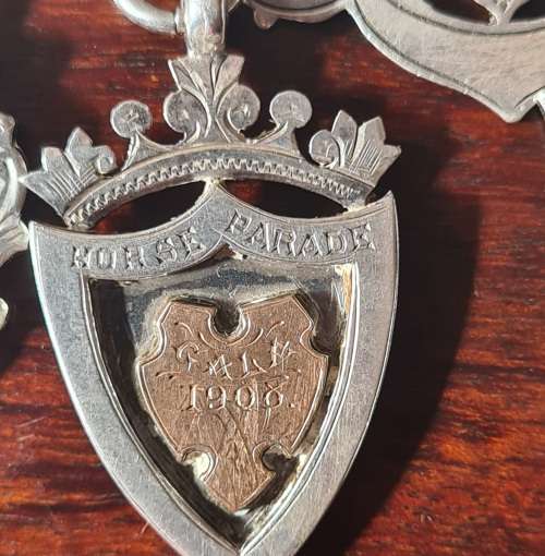 Zar gold and sterling silver medals. Weight 108.13 sterling with solid 9ct gold inlays