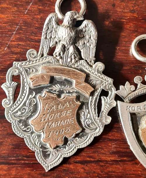 Zar gold and sterling silver medals. Weight 108.13 sterling with solid 9ct gold inlays