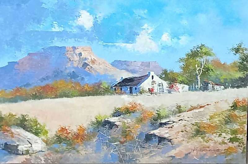 Neil janse  Van Nieuwenhuizen Oil on Canvas on Board 45 x 30 CM