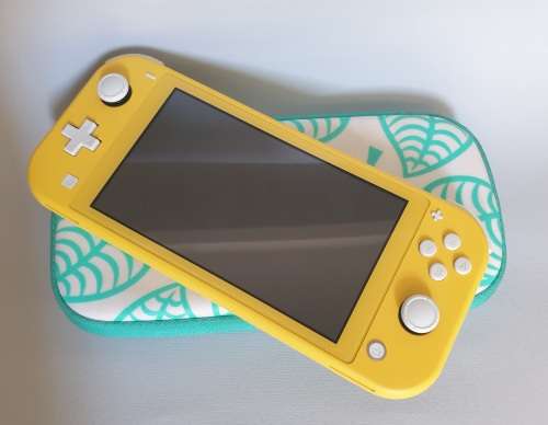 Nintendo Switch lite + Protective casing and Game installed