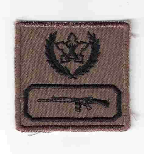 5 Year vollintry and marksman badge