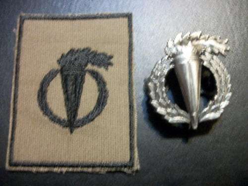 Pathfinder Breast Badges no number original 2 pins
