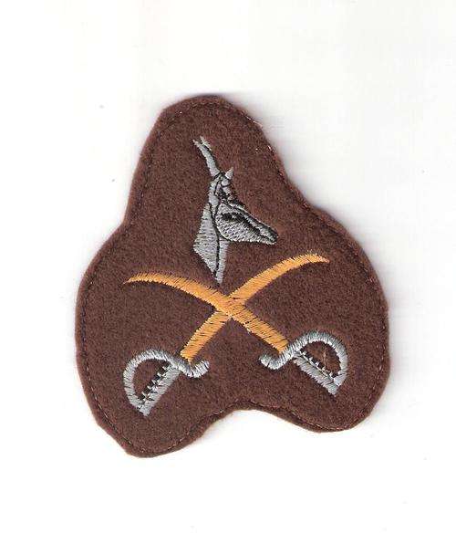 PTI  badge on felt 1970s