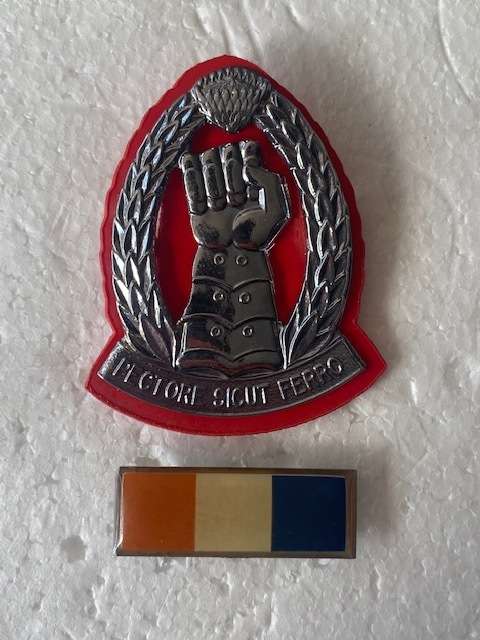 81 Brigade Cap Badge and Bar All Pins.